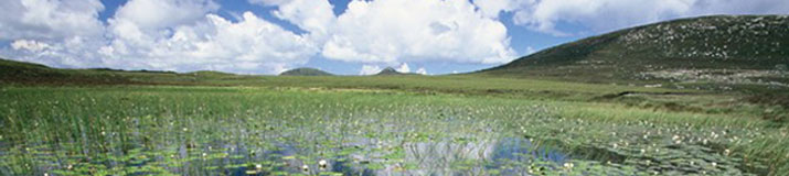 Environment Section Image Environment Section Image
