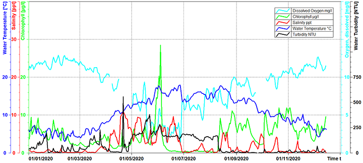 Inner Clyde Estuary surface graph