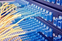 Ethernet cables_600x400