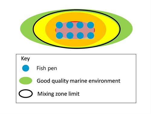 Spatial Limit On Mixing Zones