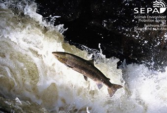 salmon river garry - logo