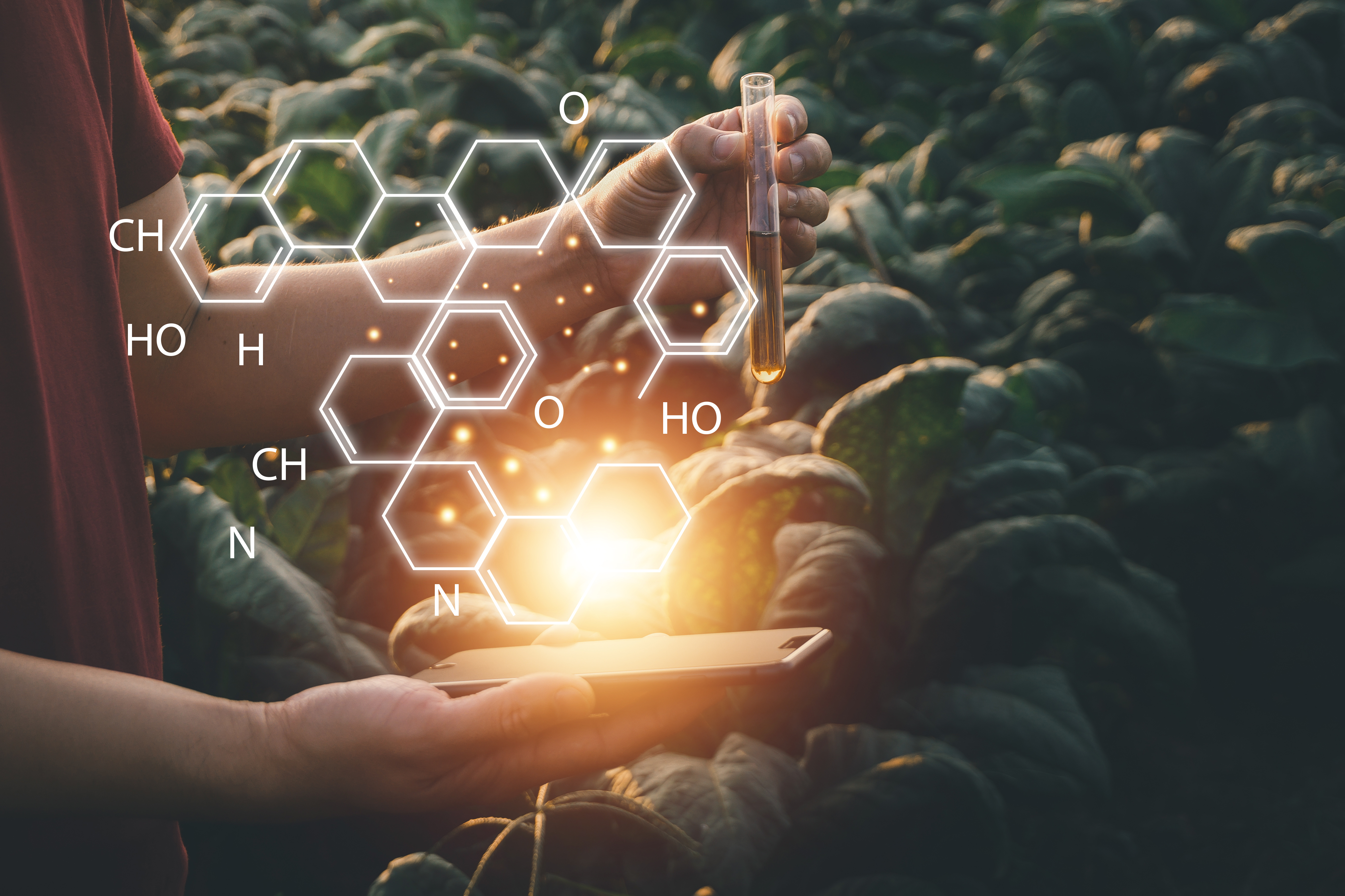 Chemical Framework Chemical Framework